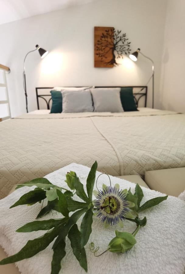 Zona Apartments 2 Zrenjanin Luaran gambar